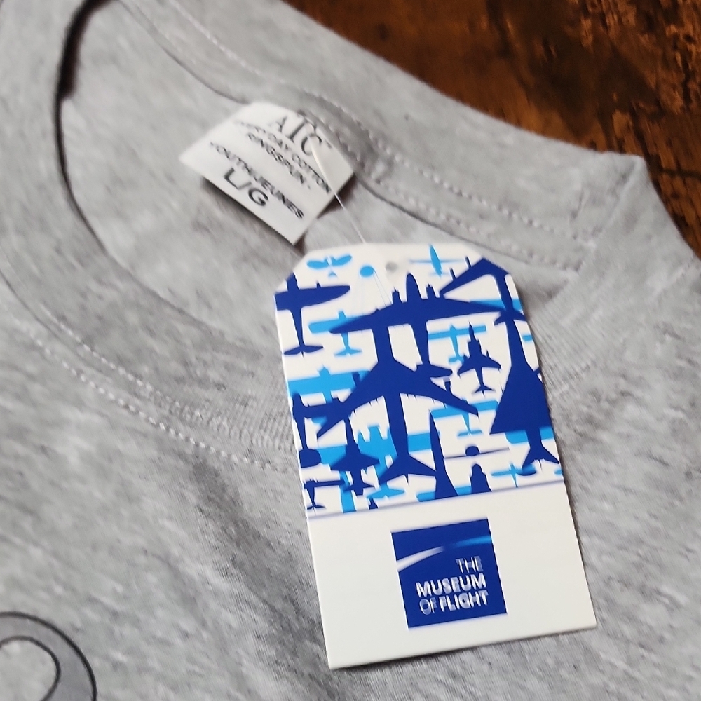 AUTHENTIC TEE SHIRT COMPANY | Blackbird M-21 Grey Youth Cotton Graphic Tee | L - Picture 4 of 6